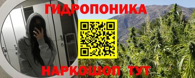 кокс Аша