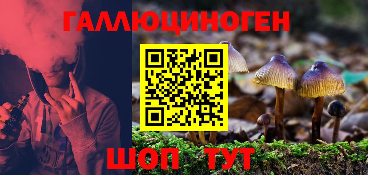 Псилоцибиновые грибы мухоморы Бузулук