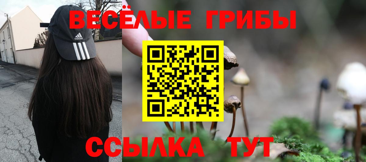 Псилоцибиновые грибы Psilocybe  Вход с VPN  Бузулук 